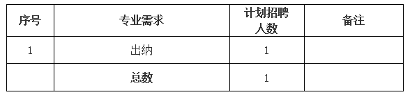 黃山市屯溪城市建設投資有限責任公司招聘信息